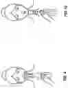 Fig. 10 - PAIN MANAGEMENT DEVICE AND METHOD OF USE