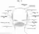 Fig. 12 - SUBCUTANEOUS TISSUE THERAPY TREATMENT METHOD