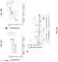 Fig. 11 - COMPOSITIONS AND METHODS OF USE FOR TREATMENT OR IMPROVEMENT OF THE CONDITION AND APPEARANCE OF SKIN