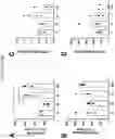 Fig. 12 - COMPOSITIONS AND METHODS OF USE FOR TREATMENT OR IMPROVEMENT OF THE CONDITION AND APPEARANCE OF SKIN