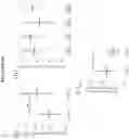 Fig. 17 - COMPOSITIONS AND METHODS OF USE FOR TREATMENT OR IMPROVEMENT OF THE CONDITION AND APPEARANCE OF SKIN
