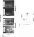 Fig. 18 - COMPOSITIONS AND METHODS OF USE FOR TREATMENT OR IMPROVEMENT OF THE CONDITION AND APPEARANCE OF SKIN