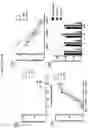 Fig. 23 - COMPOSITIONS AND METHODS OF USE FOR TREATMENT OR IMPROVEMENT OF THE CONDITION AND APPEARANCE OF SKIN