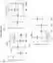Fig. 28 - COMPOSITIONS AND METHODS OF USE FOR TREATMENT OR IMPROVEMENT OF THE CONDITION AND APPEARANCE OF SKIN
