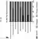 Fig. 38 - COMPOSITIONS AND METHODS OF USE FOR TREATMENT OR IMPROVEMENT OF THE CONDITION AND APPEARANCE OF SKIN