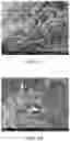 Fig. 03 - USE OF COMPOSITION FOR REDUCING OR PREVENTING CELL AGING OR REPAIRING CELL WITH DAMAGED MITOCHONDRIA, METHOD OF PREPARING COMPOSITION FOR CELL REPAIRING, CELL REPAIRING METHOD AND METHOD OF SUPPLYING MITOCHONDRIA INTO CELL
