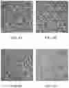 Fig. 08 - USE OF COMPOSITION FOR REDUCING OR PREVENTING CELL AGING OR REPAIRING CELL WITH DAMAGED MITOCHONDRIA, METHOD OF PREPARING COMPOSITION FOR CELL REPAIRING, CELL REPAIRING METHOD AND METHOD OF SUPPLYING MITOCHONDRIA INTO CELL