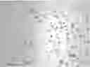 Fig. 01 - Liposomes encapsulating adenosine