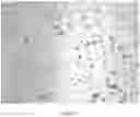 Fig. 03 - Liposomes encapsulating adenosine