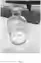 Fig. 08 - Liposomes encapsulating adenosine