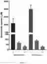Fig. 13 - Liposomes encapsulating adenosine