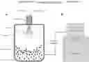 Fig. 01 - Dry powder composition comprising long-chain RNA