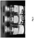 Fig. 06 - Dry powder composition comprising long-chain RNA
