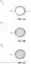 Fig. 03 - SUBLINGUAL DELIVERY FOR MITIGATION OF SIDE EFFECTS ASSOCIATED WITH METFORMIN