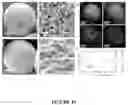 Fig. 17 - Supraparticle Formulations
