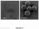 Fig. 18 - Supraparticle Formulations