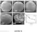 Fig. 29 - Supraparticle Formulations