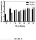 Fig. 31 - Supraparticle Formulations