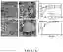 Fig. 33 - Supraparticle Formulations