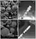 Fig. 01 - BIODEGRADABLE EXTENDED RELEASE MICROSPHERE-HYDROGEL OCULAR DRUG DELIVERY SYSTEM AND METHOD