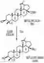 Fig. 01 - NANOPARTICLE MEDIATED THERAPY