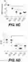 Fig. 07 - NANOPARTICLE MEDIATED THERAPY
