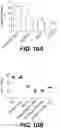 Fig. 11 - NANOPARTICLE MEDIATED THERAPY