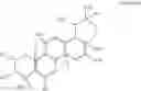 Fig. 25 - NANOPARTICLE MEDIATED THERAPY