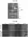 Fig. 10 - SYNTHETIC LIPIDS FOR MRNA DELIVERY