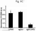 Fig. 11 - SYNTHETIC LIPIDS FOR MRNA DELIVERY