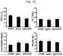 Fig. 16 - SYNTHETIC LIPIDS FOR MRNA DELIVERY