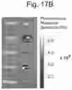 Fig. 24 - SYNTHETIC LIPIDS FOR MRNA DELIVERY