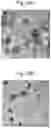 Fig. 29 - SYNTHETIC LIPIDS FOR MRNA DELIVERY