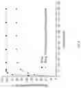 Fig. 09 - HYDROGEL/NANOPARTICLE COMPLEX WITH TEMPERATURE SOL-GEL TRANSITION FOR SUSTAINED DRUG RELEASE