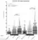 Fig. 03 - CANNABIGEROL AND PHARMACEUTICAL COMPOSITIONS COMPRISING CANNABIGEROL FOR USE IN THE TREATMENT OF INSOMNIA