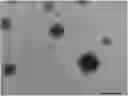 Fig. 01 - PROCESS FOR PRODUCTION OF A NANO-MICROEMULSION SYSTEM OF FERULIC