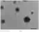 Fig. 02 - PROCESS FOR PRODUCTION OF A NANO-MICROEMULSION SYSTEM OF FERULIC