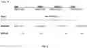 Fig. 04 - Retinoid derivatives with antitumor activity