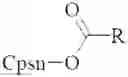 Fig. 01 - Chemical derivatives and methods for synthesizing and compounding chemical derivatives related to capsaicin palmitate and capsaicin prodrugs