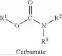 Fig. 33 - Chemical derivatives and methods for synthesizing and compounding chemical derivatives related to capsaicin palmitate and capsaicin prodrugs