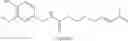 Fig. 35 - Chemical derivatives and methods for synthesizing and compounding chemical derivatives related to capsaicin palmitate and capsaicin prodrugs