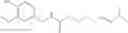 Fig. 38 - Chemical derivatives and methods for synthesizing and compounding chemical derivatives related to capsaicin palmitate and capsaicin prodrugs