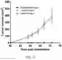 Fig. 12 - COMPOUNDS AND METHODS FOR MANAGING CANCER THROUGH IMMUNE SYSTEM