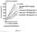 Fig. 15 - COMPOUNDS AND METHODS FOR MANAGING CANCER THROUGH IMMUNE SYSTEM