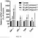 Fig. 17 - COMPOUNDS AND METHODS FOR MANAGING CANCER THROUGH IMMUNE SYSTEM