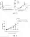 Fig. 26 - COMPOUNDS AND METHODS FOR MANAGING CANCER THROUGH IMMUNE SYSTEM