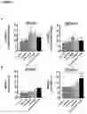 Fig. 04 - COMPOSITIONS AND METHODS FOR INCREASING T CELL FUNCTION