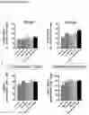 Fig. 05 - COMPOSITIONS AND METHODS FOR INCREASING T CELL FUNCTION