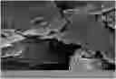 Fig. 01 - PREPARATION OF SOLUBLE FORM OF CARVEDILOL
