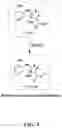 Fig. 10 - METHODS OF TREATING PAIN WITH A THIAZOLINE ANTI-HYPERALGESIC